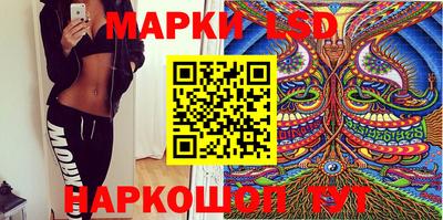 МДПВ Новокубанск