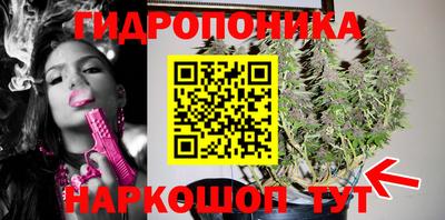 МДПВ Новокубанск