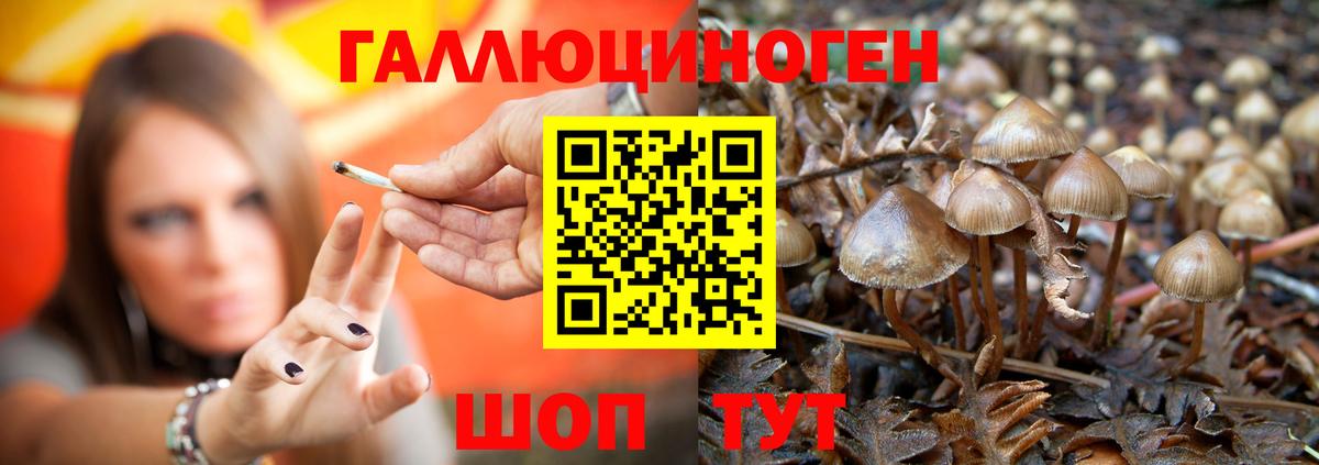 Псилоцибиновые грибы ЛСД  Вход с VPN  Псилоцибиновые грибы Cubensis  Шадринск 